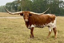 LTR FIRST ON THE LIST 